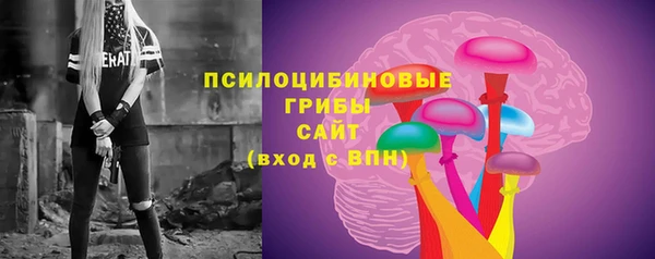 шишки Абдулино